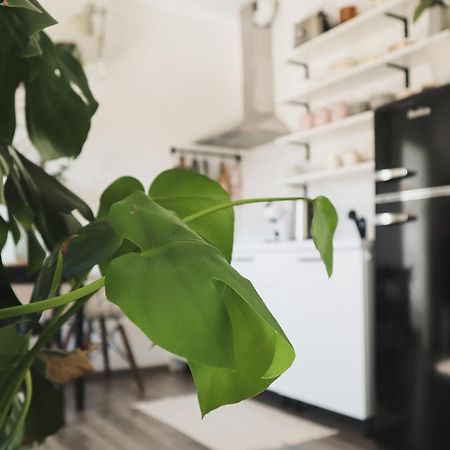Urban Jungle Apartment - Free Parking リュブリャナ エクステリア 写真