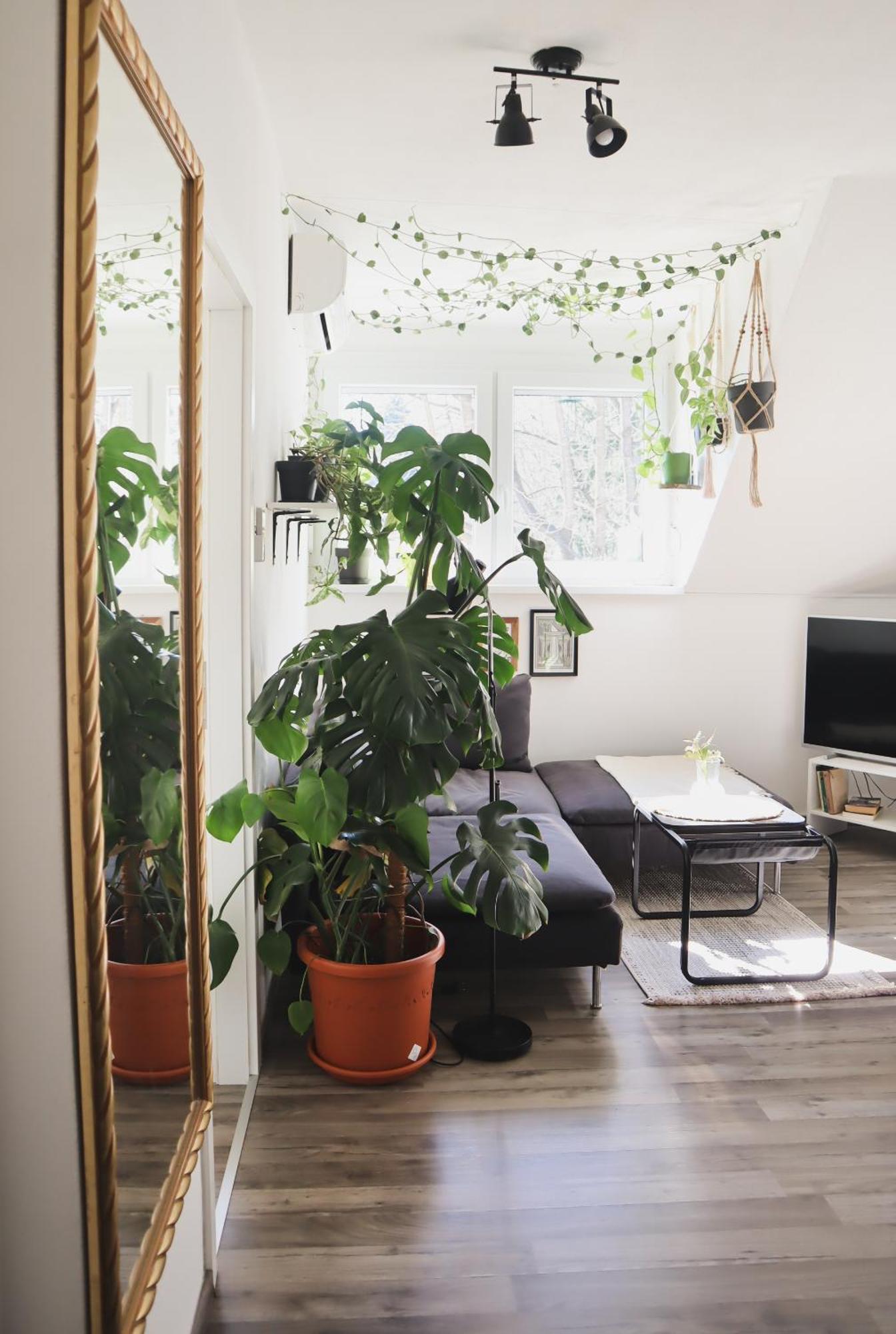 Urban Jungle Apartment - Free Parking リュブリャナ エクステリア 写真