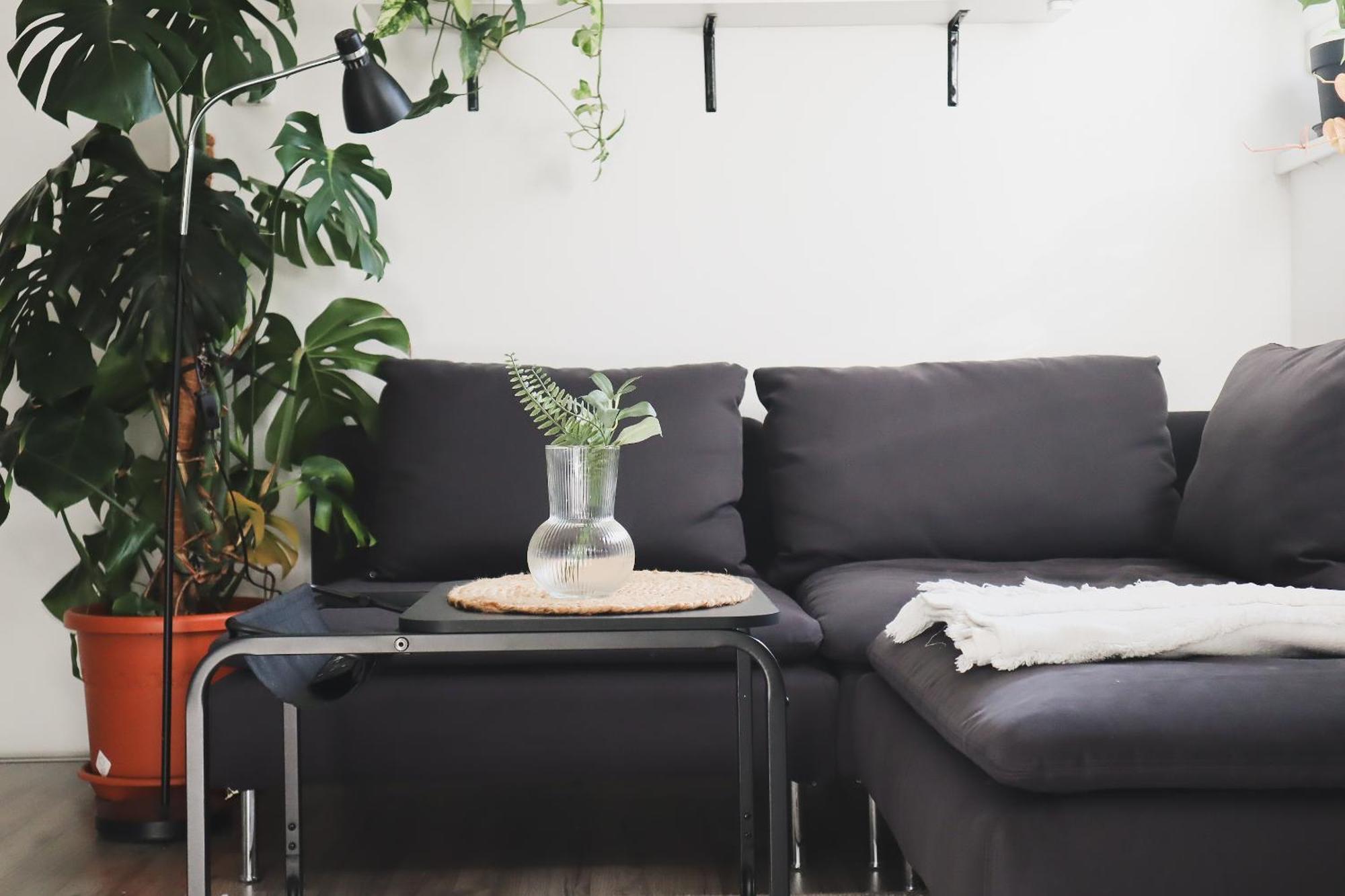 Urban Jungle Apartment - Free Parking リュブリャナ エクステリア 写真