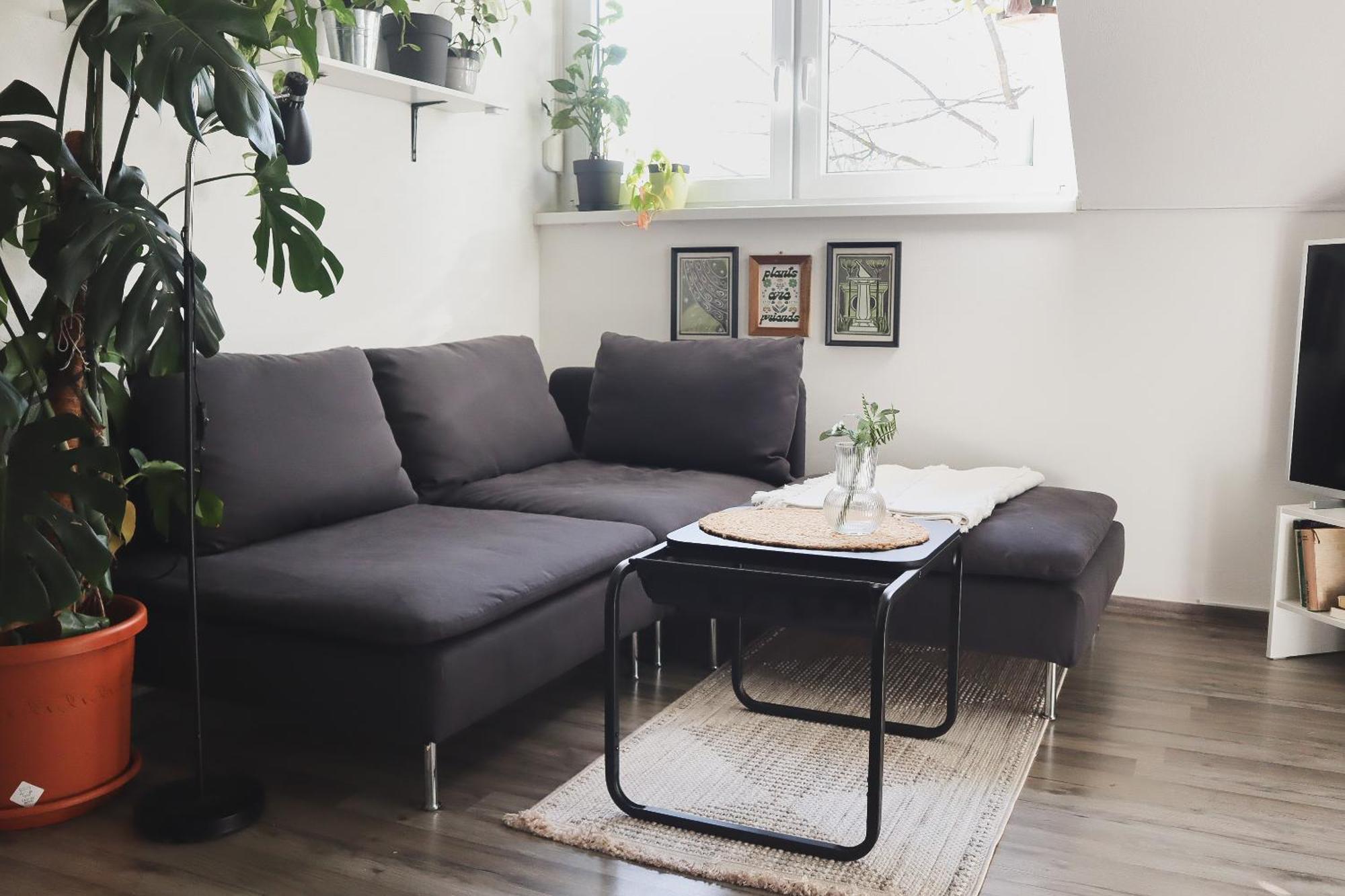 Urban Jungle Apartment - Free Parking リュブリャナ エクステリア 写真