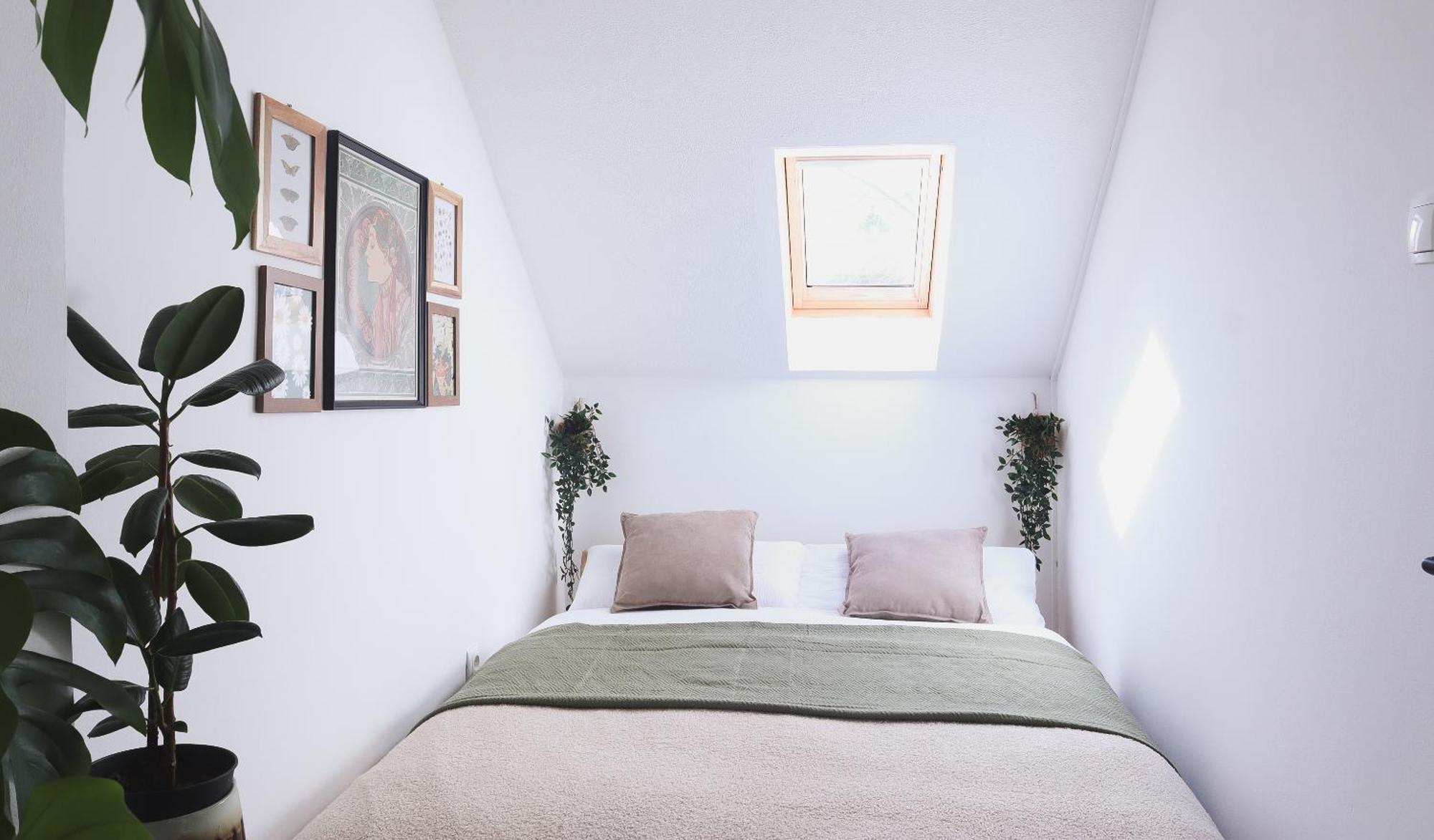 Urban Jungle Apartment - Free Parking リュブリャナ エクステリア 写真