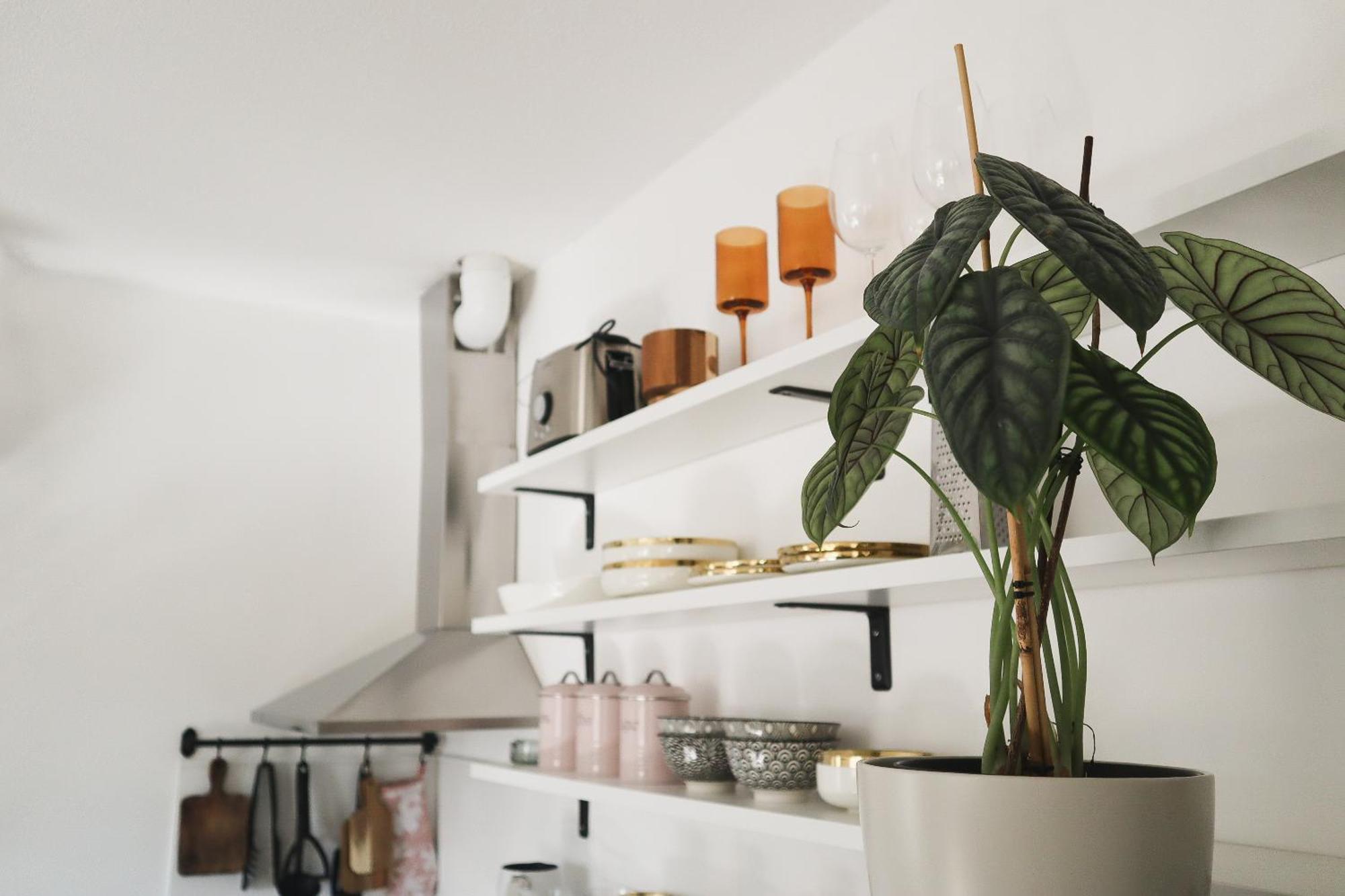 Urban Jungle Apartment - Free Parking リュブリャナ エクステリア 写真