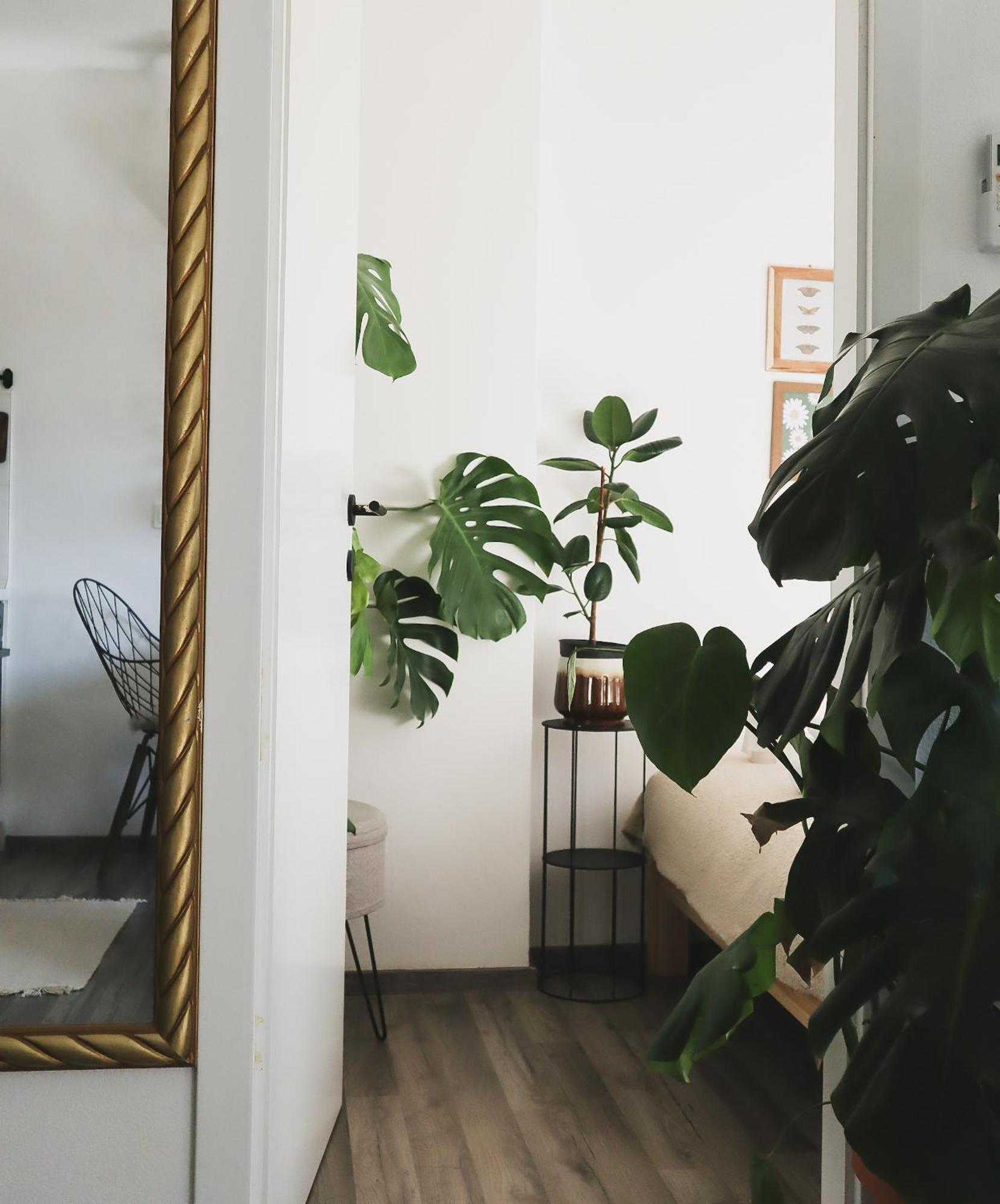 Urban Jungle Apartment - Free Parking リュブリャナ エクステリア 写真