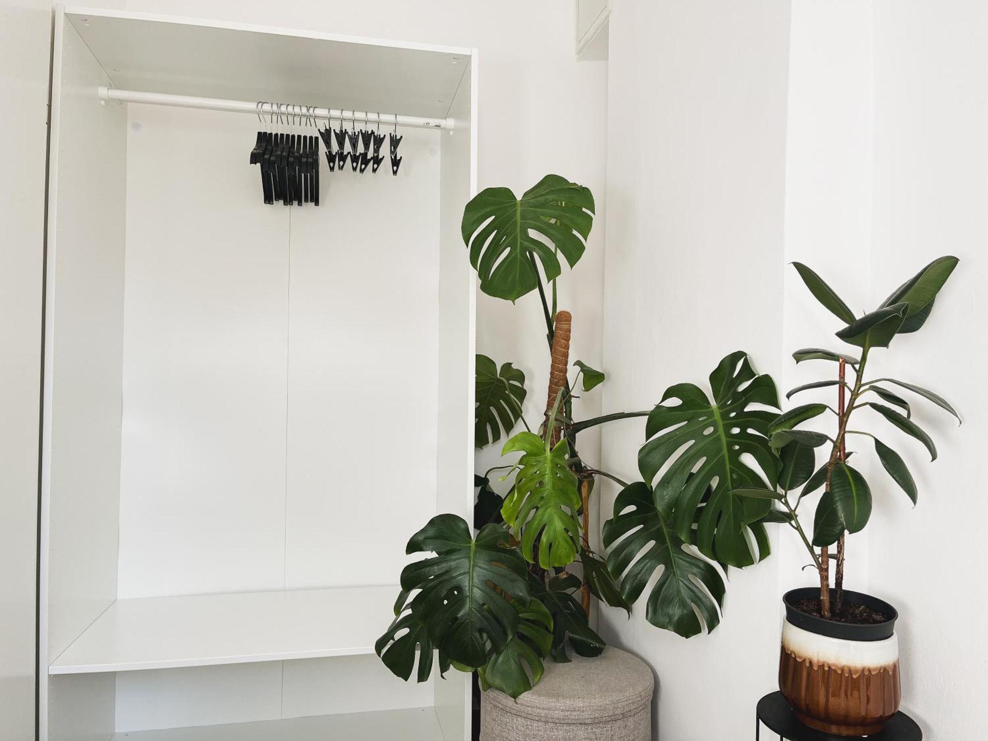 Urban Jungle Apartment - Free Parking リュブリャナ エクステリア 写真